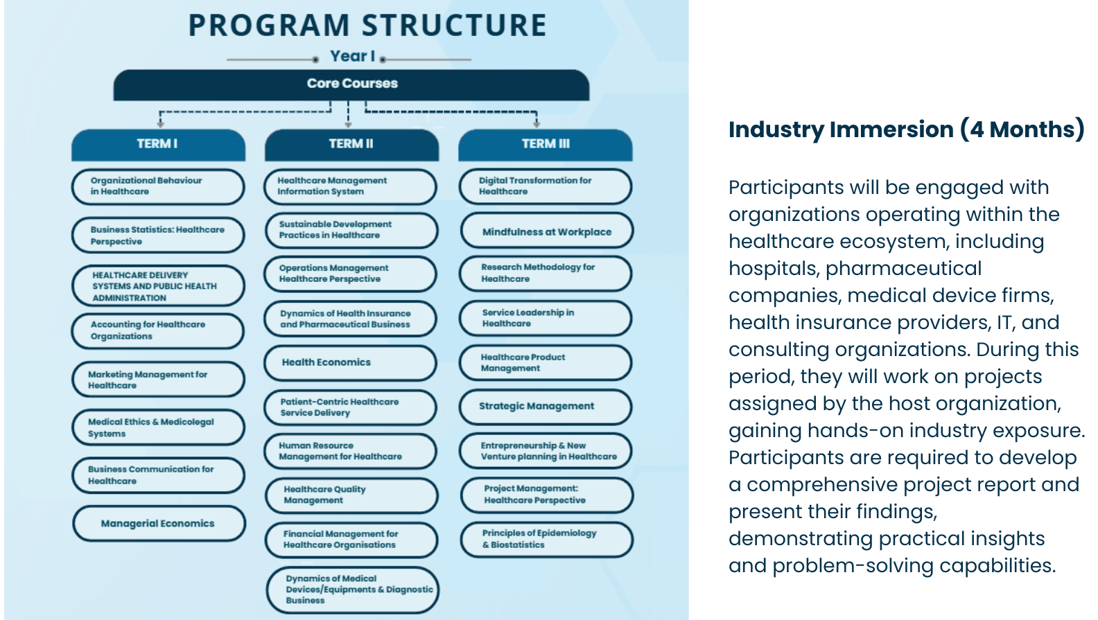 Program-structure-HHM